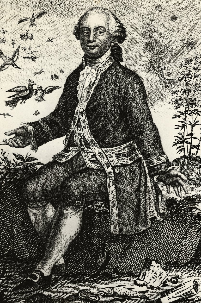 Ritratto di Georges-Louis Leclerc de Buffon (1707-1788), naturalista e matematico francese, incisione da J.B. and Brown J. Rowbotham