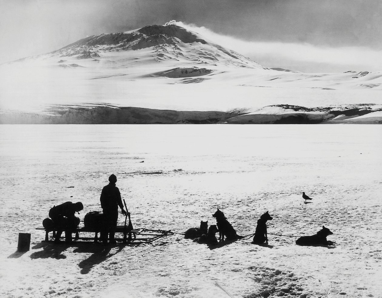 Spedizione al Polo Sud di Robert Falcon Scott (1868-1912), esploratori davanti al vulcano Erebus sull