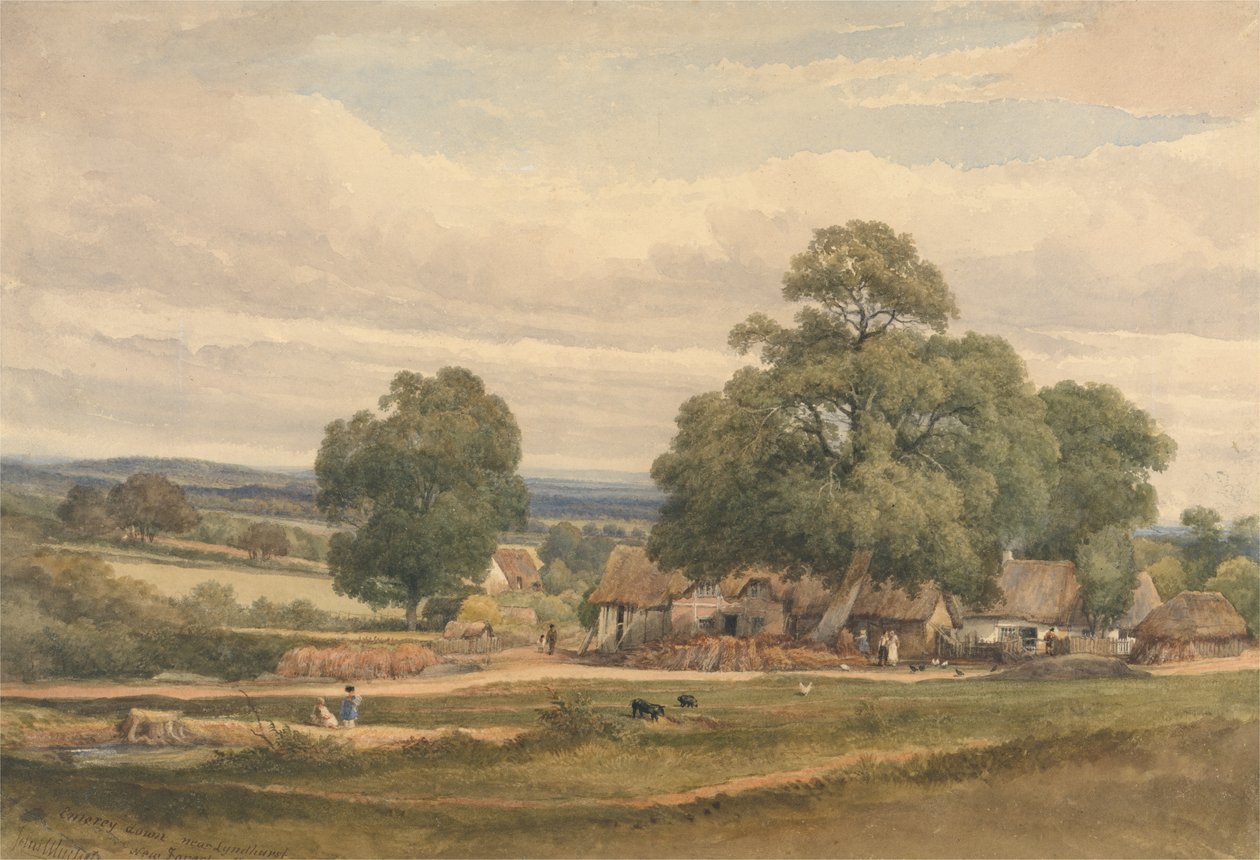 Emerey Down vicino a Lyndhurst, New Forest, Hants da C. John Mayle Whichelo