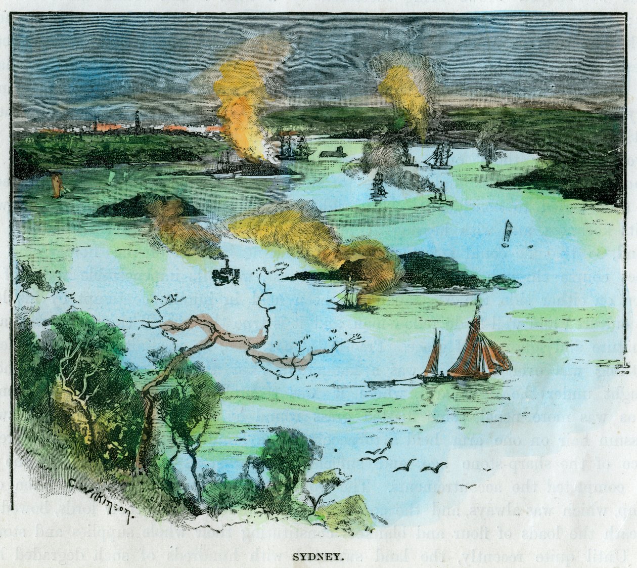 Sydney, Nuovo Galles del Sud, Australia, c1885 da C. Wilkinson