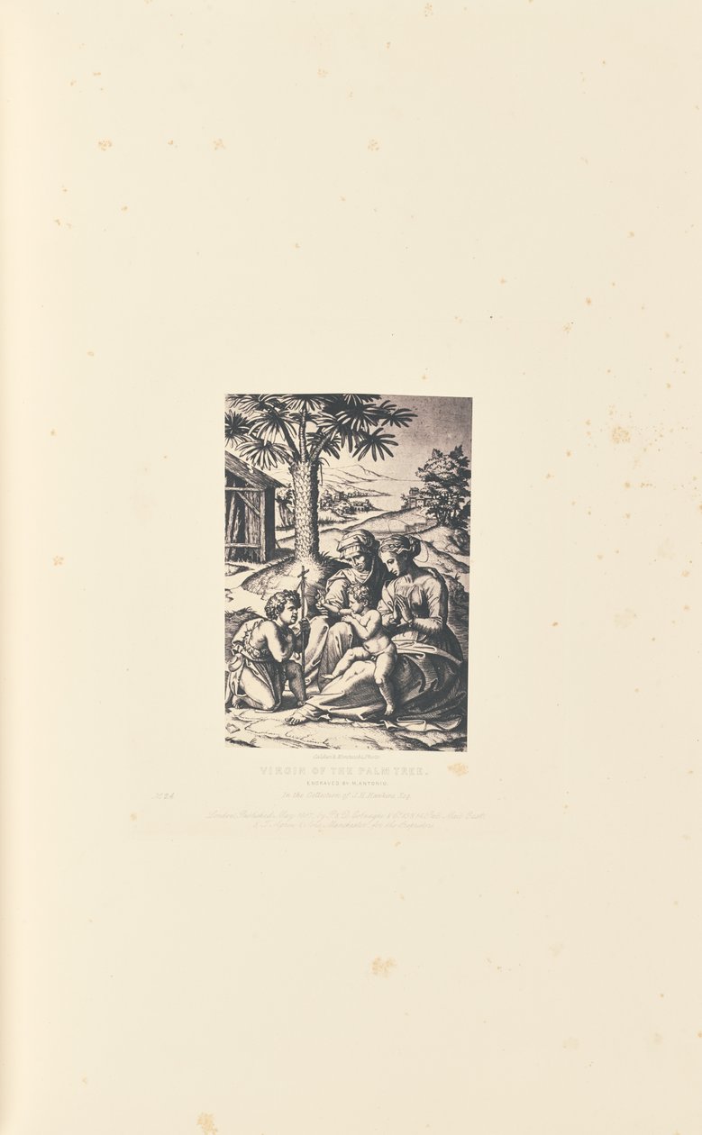 Vergine delle Palme, incisione di M. Antonio da Caldesi and Montecchi