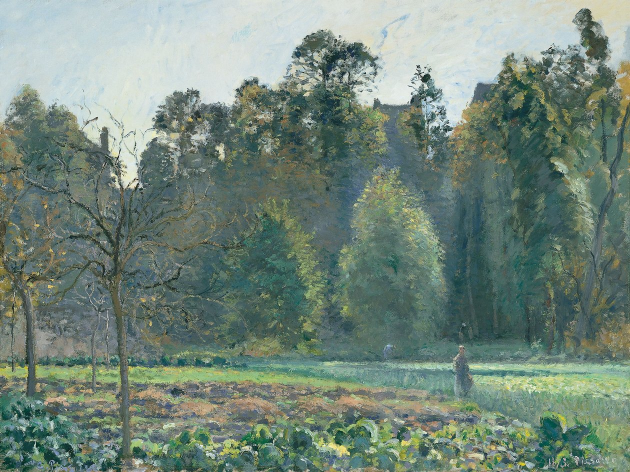 Il campo di cavoli, Pontoise da Camille Jacob Pissarro