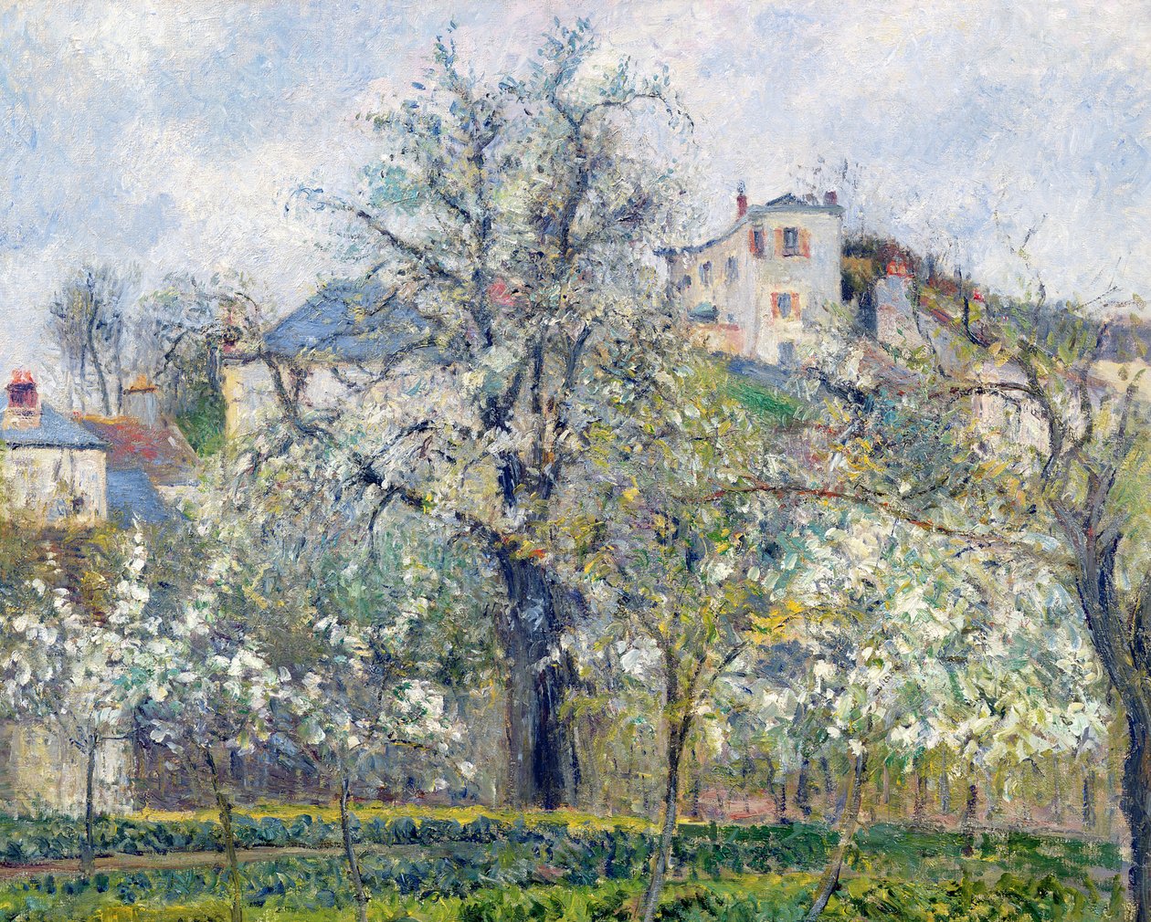 Il giardino degli ortaggi con alberi in fiore, primavera, Pontoise, 1877 da Camille Jacob Pissarro