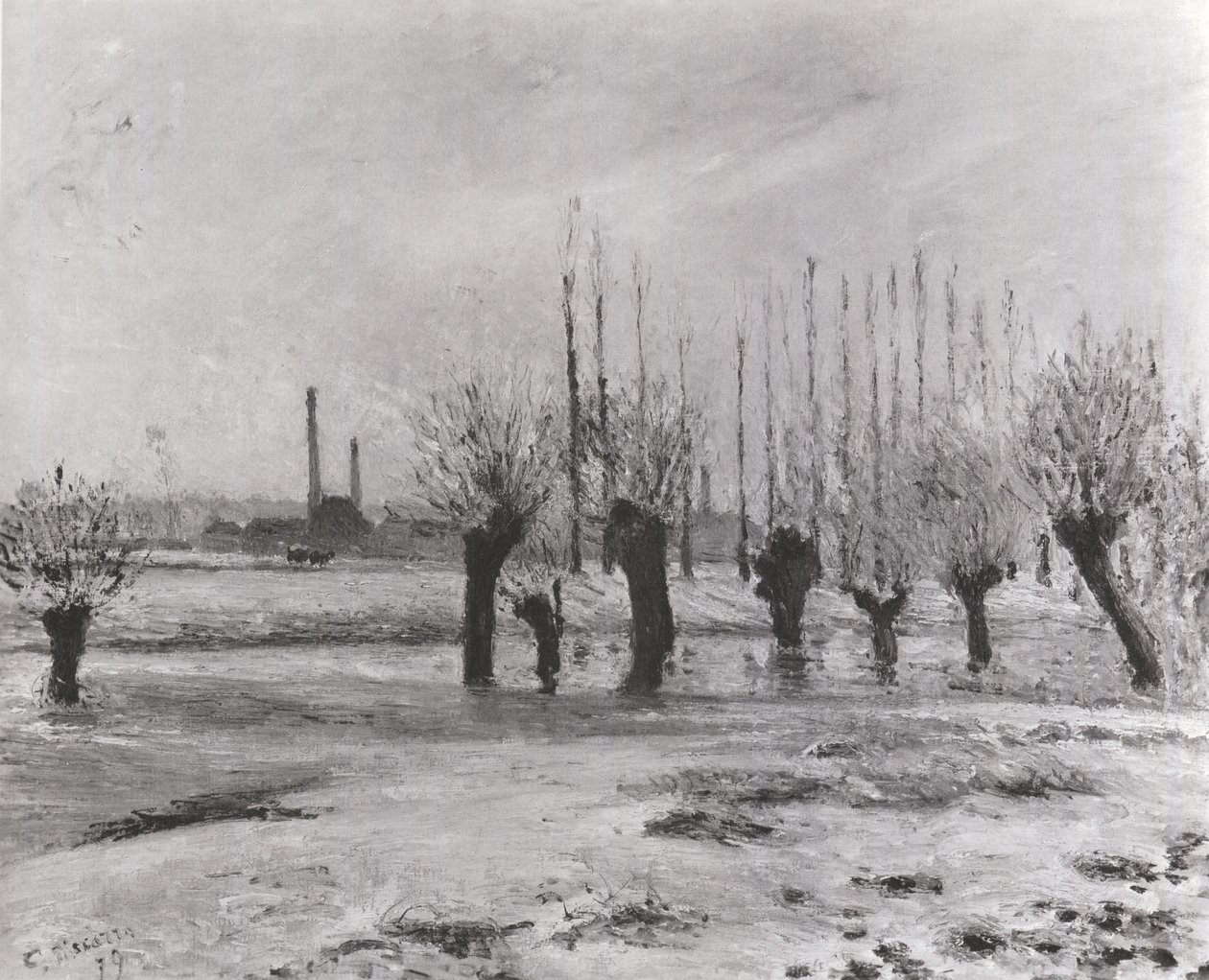 Le rive dell
