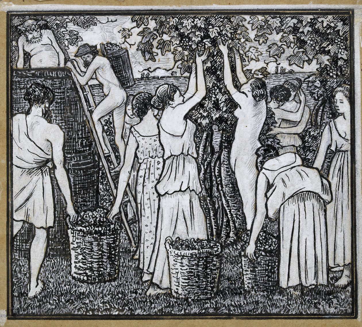 Vendemmia, studio compositivo per un