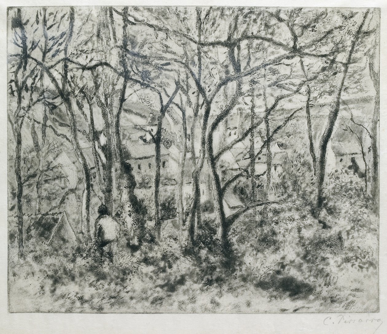 Paesaggio sotto il bosco, all