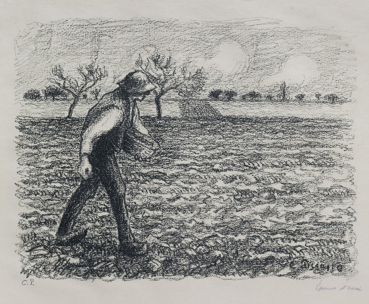 Seminatore, 1896 da Camille Jacob Pissarro