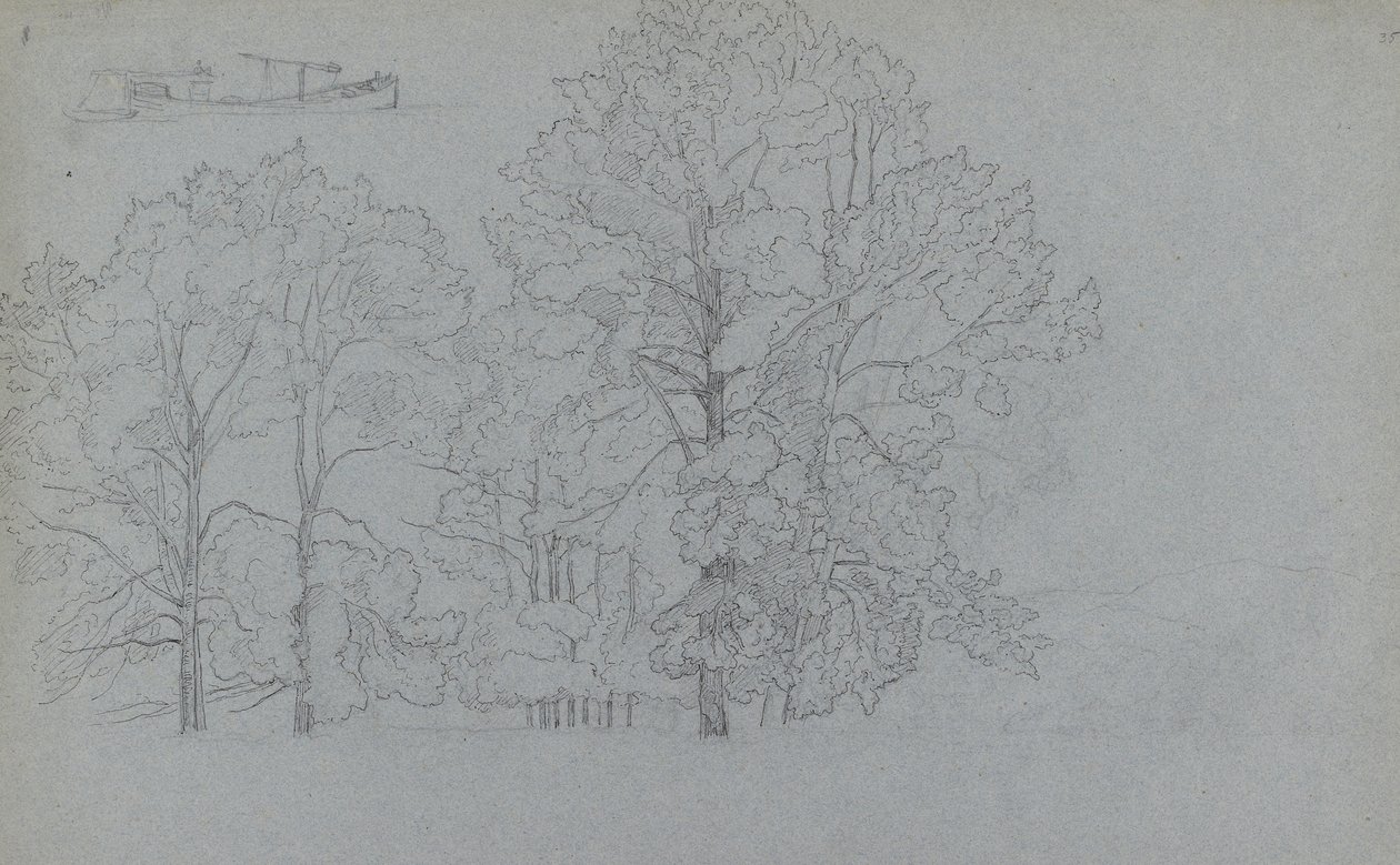 Studio di alberi, con un leggero studio di una chiatta, 1859 da Camille Jacob Pissarro