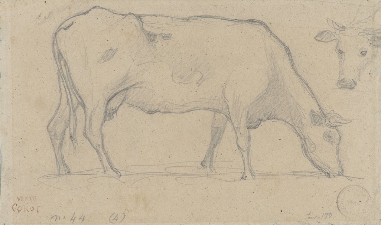Mucca al pascolo, con testa di mucca in alto a destra da Camille Corot