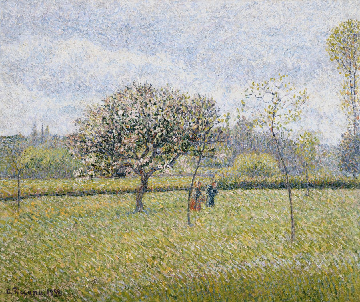 Melo in Fiore a Eragny, 1888 da Camille Jacob Pissarro