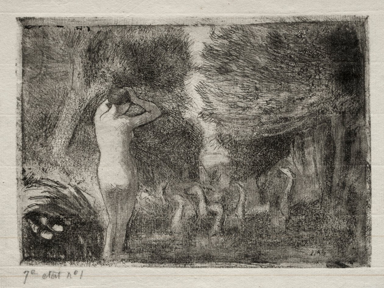 Bagnante e oche, 1895 da Camille Jacob Pissarro