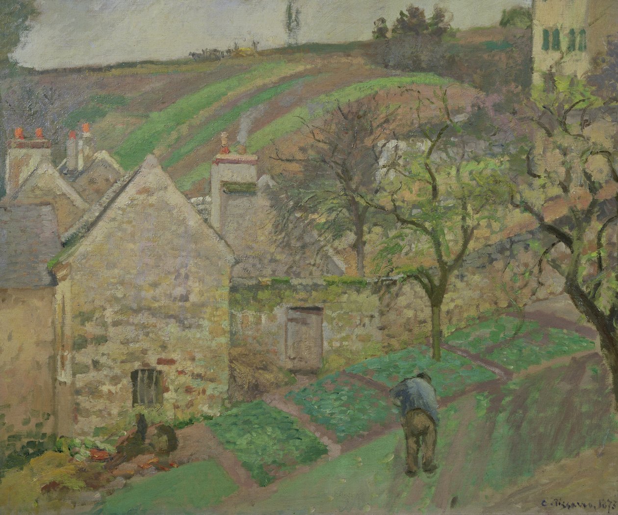 Collina dell