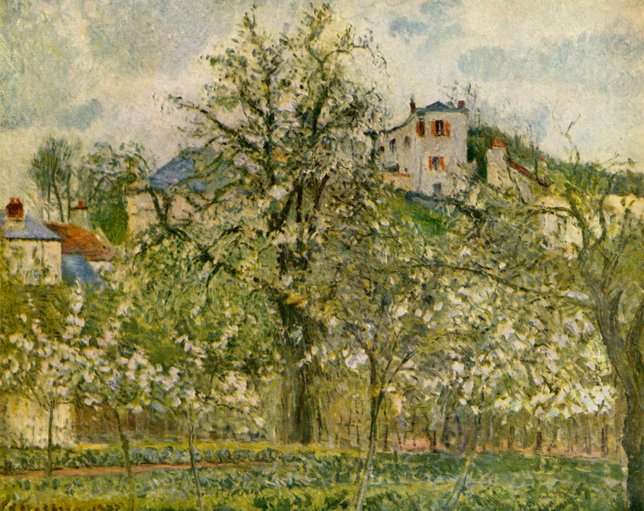 Orto con alberi da frutto in fiore, 1877, 1939 da Camille Jacob Pissarro