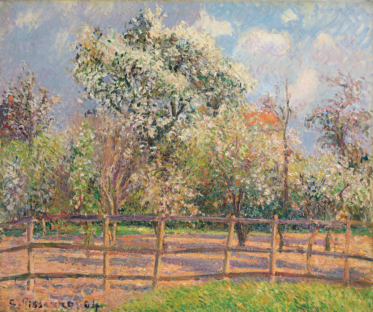 Alberi di pero in fiore, Eragny, 1894 da Camille Jacob Pissarro