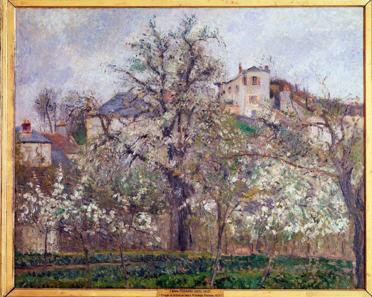 Primavera, fioritura dei prugni a Pontoise da Camille Jacob Pissarro