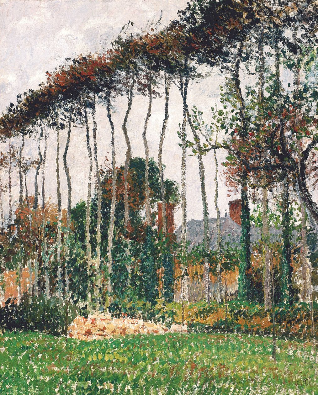 Francese: Les grands hêtres à Varengeville
Tedesco: I grandi faggi di rame a Varengeville da Camille Pissarro