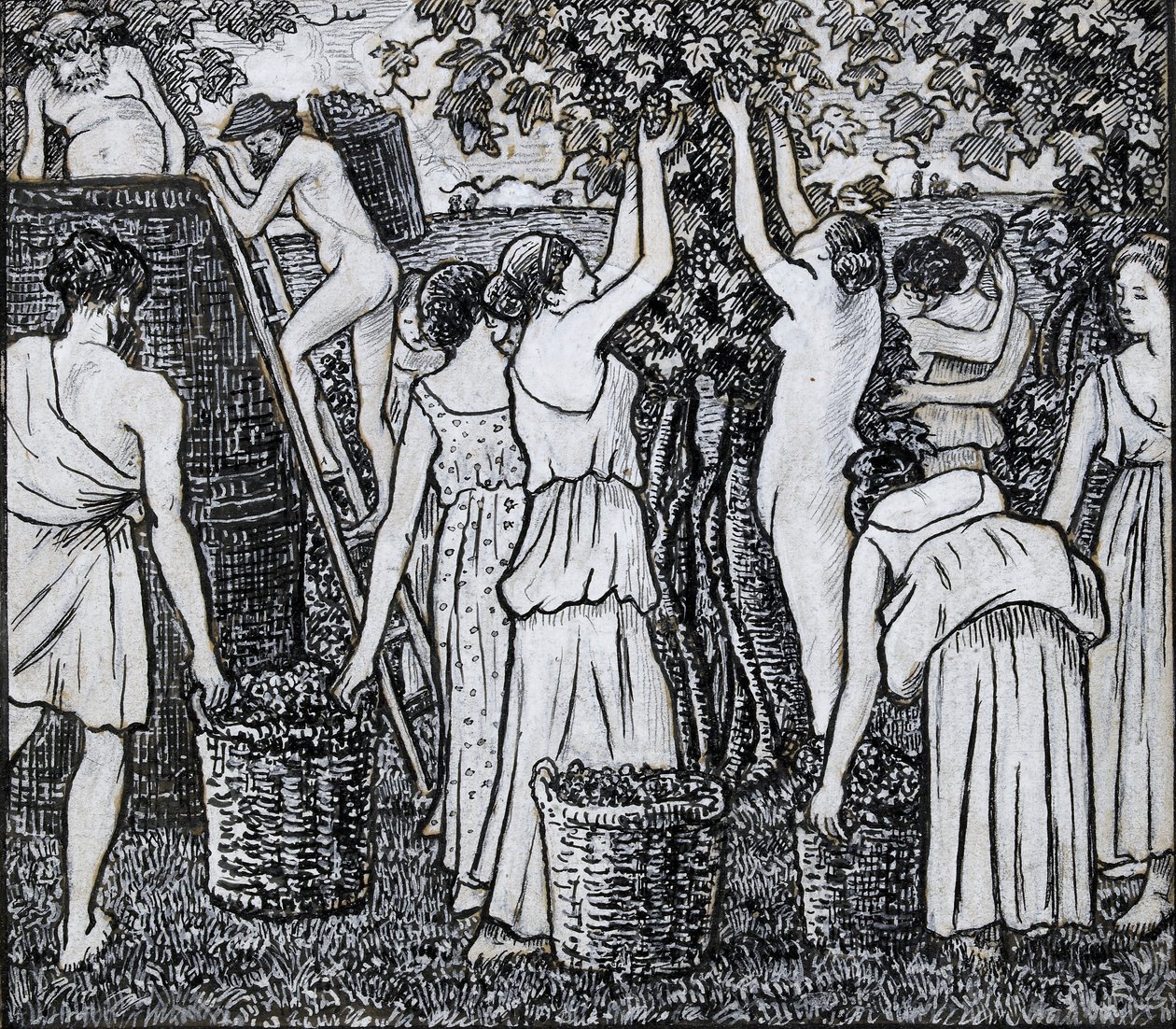 Vendemmia, studio compositivo per un