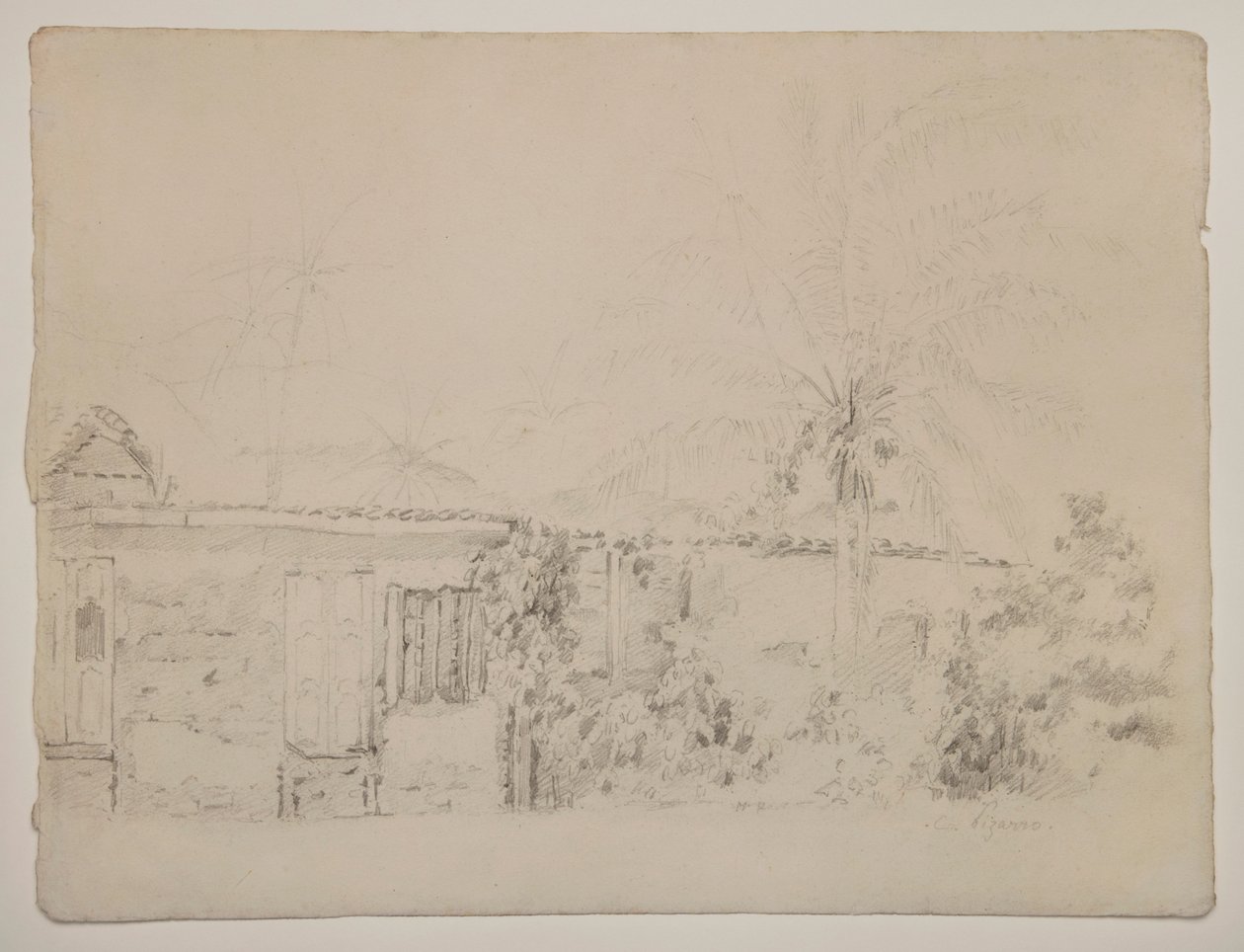 Case e palme da Camille Pissarro