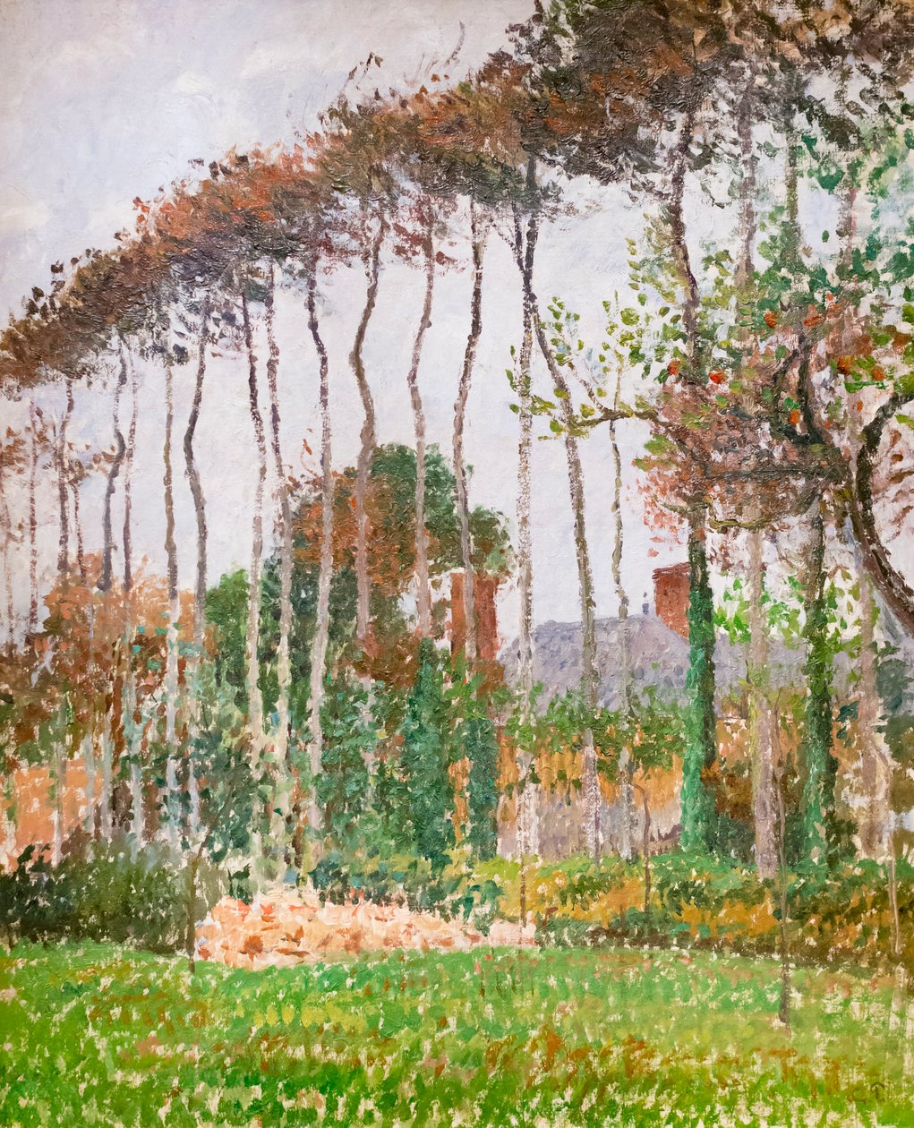 Paesaggio a Varengeville, c. 1889 da Camille Pissarro