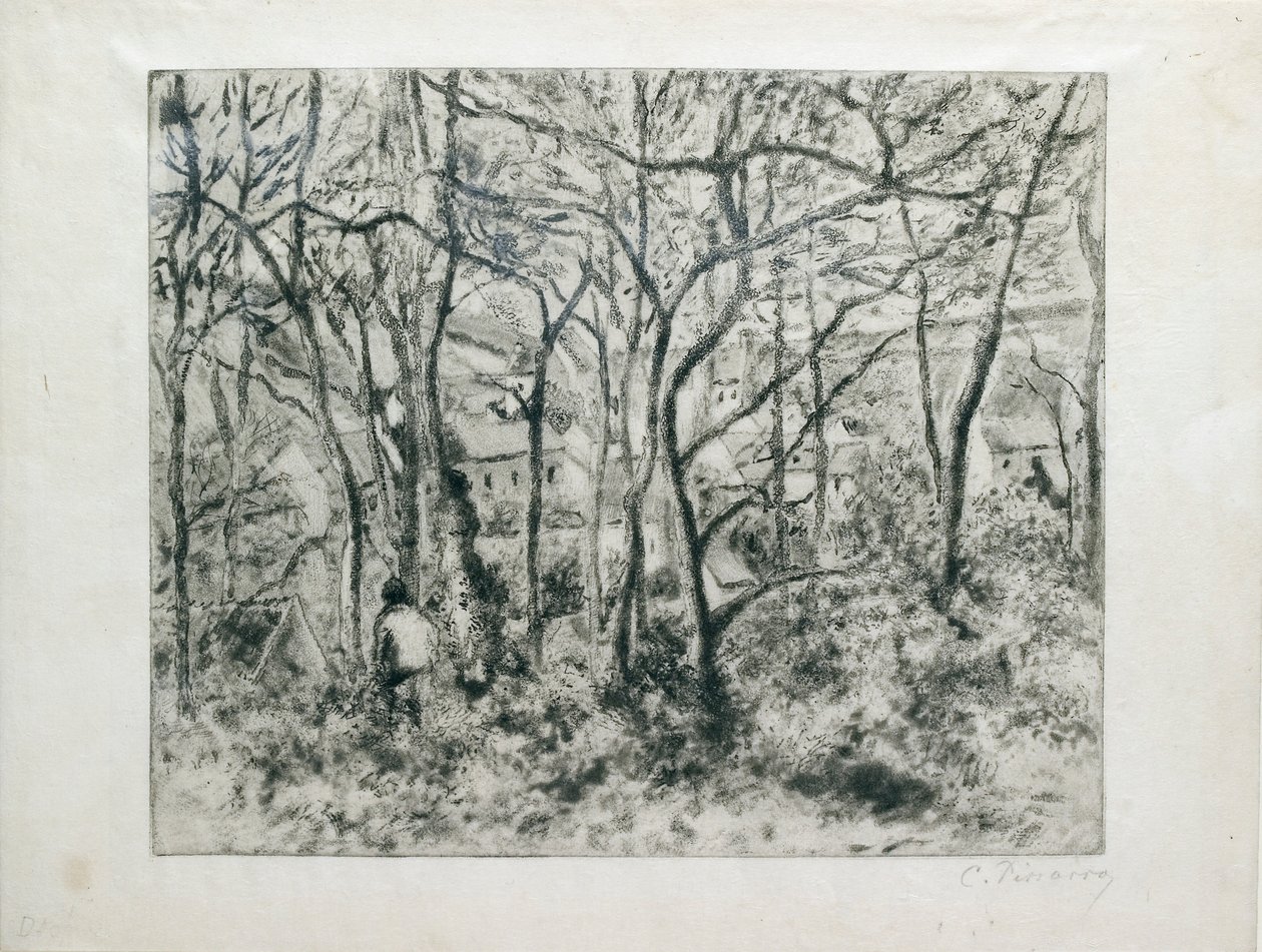 Paesaggio sotto il Bosco, all