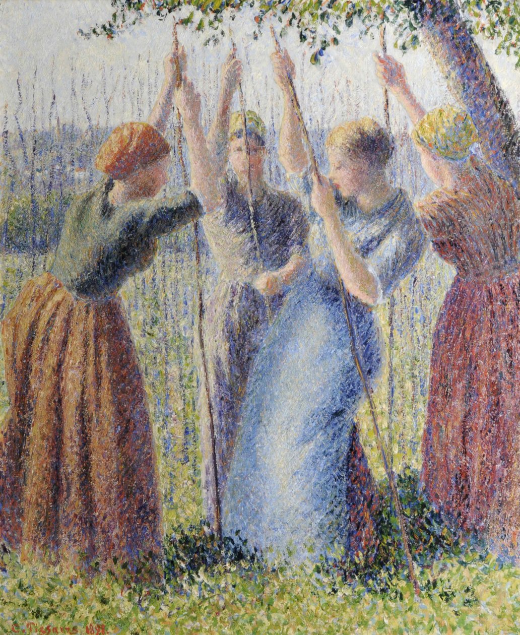 Contadine che piantano i rami da Camille Pissarro