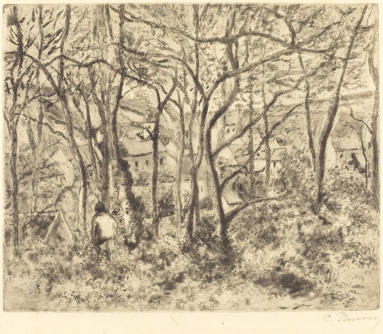 Paesaggio boscoso a L