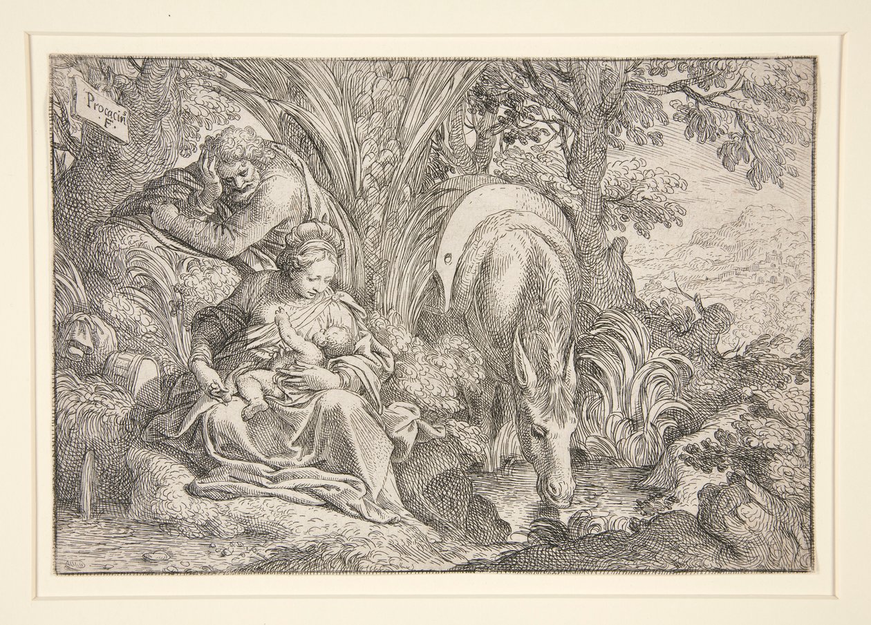 Riposo durante la fuga in Egitto da Camillo Procaccini