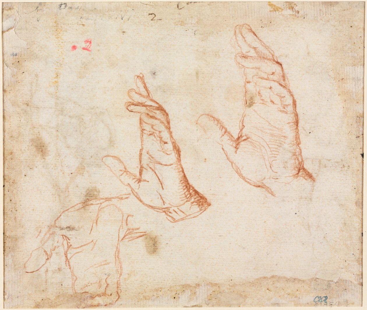 Studio di mani (verso) da Camillo Procaccini