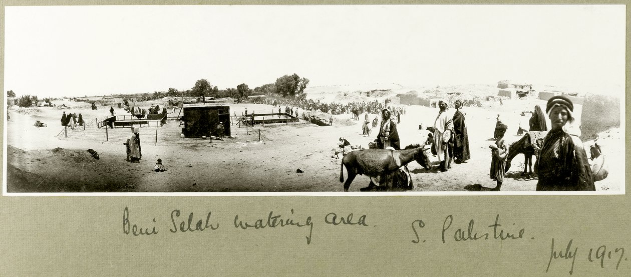 Area di irrigazione di Beni Saleh, luglio 1917 da Capt. Arthur Rhodes