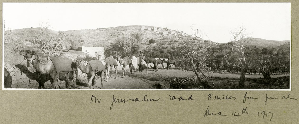 Sulla strada di Gerusalemme, 8 miglia da Gerusalemme, 14 dicembre 1917 da Capt. Arthur Rhodes