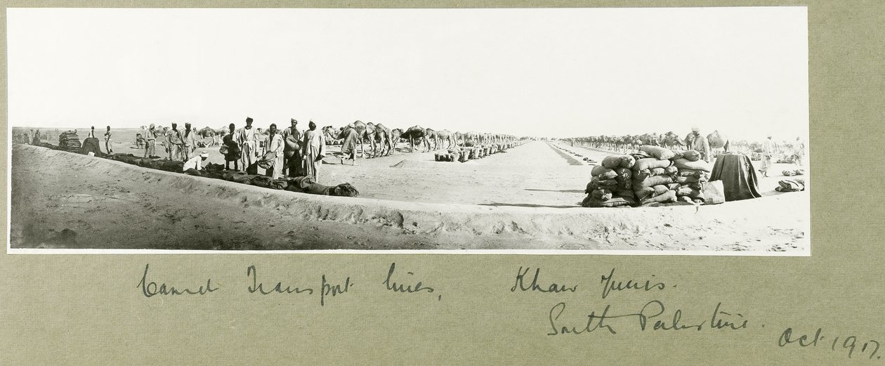 Linee di trasporto dei cammelli, Khan Yunis, ottobre 1917 da Capt. Arthur Rhodes