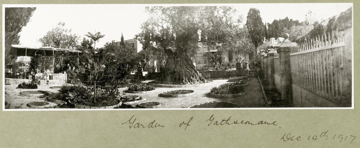Giardino del Getsemani, 14 dicembre 1917 da Capt. Arthur Rhodes