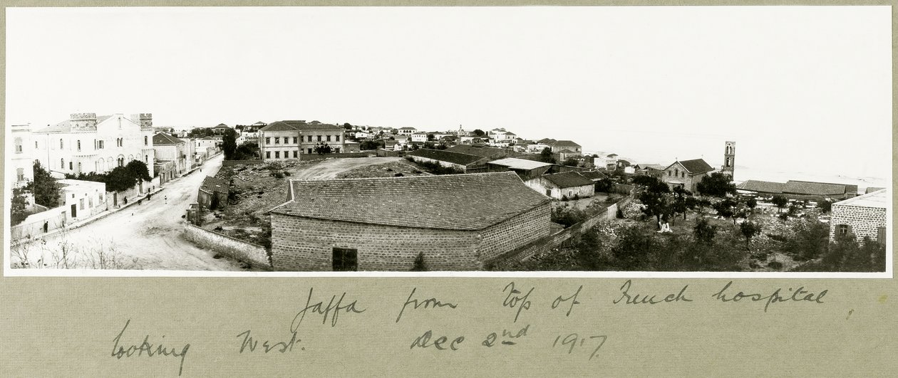 Giaffa dalla cima dell