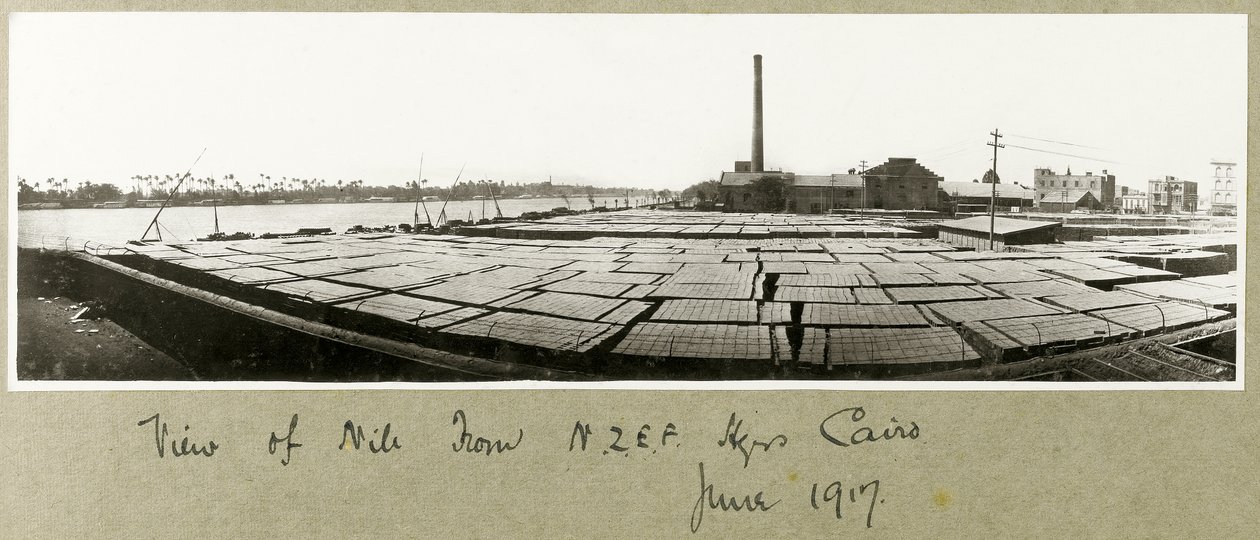 Vista del Nilo dalla sede centrale della N.Z.M.F.A., Il Cairo, giugno 1917 da Capt. Arthur Rhodes