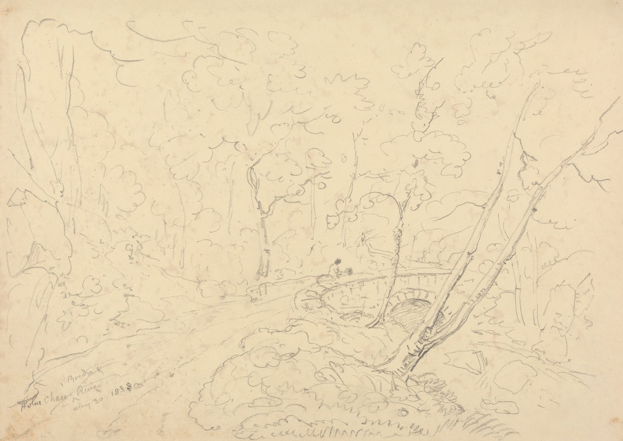 Ponte e fiume di Holne Chase, 30 maggio 1833 da Capt. Thomas Hastings