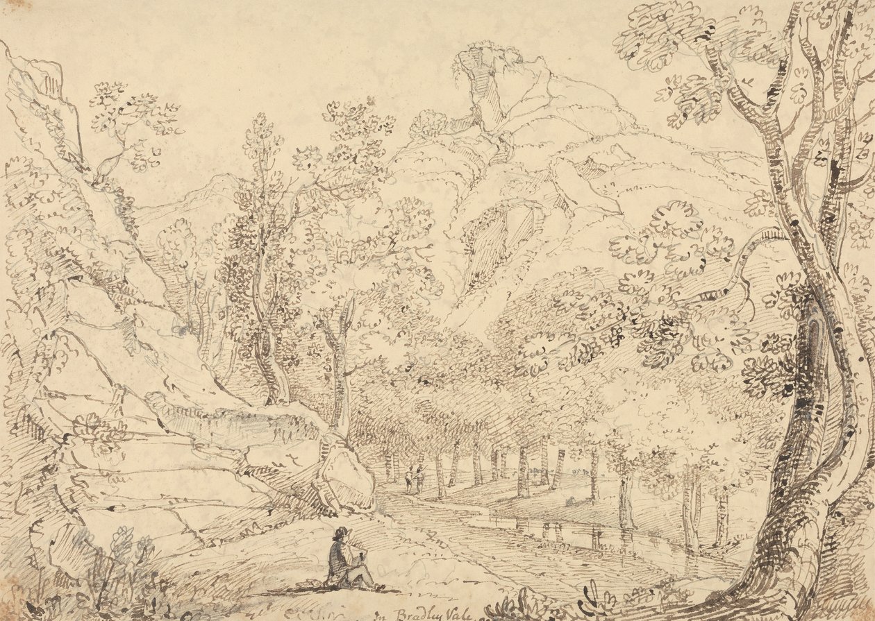 In Bradley Vale, maggio 1833 da Capt. Thomas Hastings