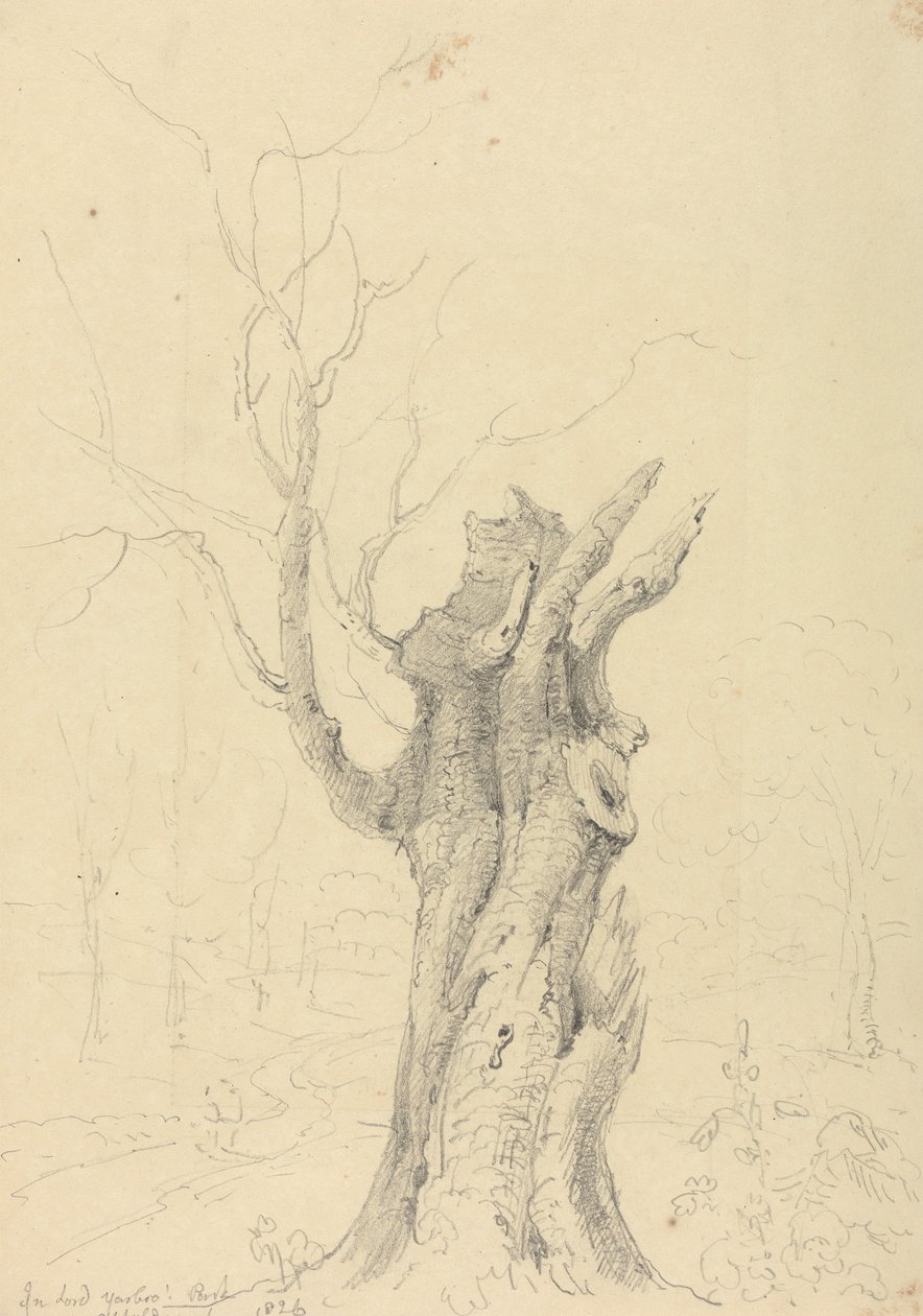 Nel Parco di Lord Yarborough, Appuldurcombe, Isola di Wight da Capt. Thomas Hastings