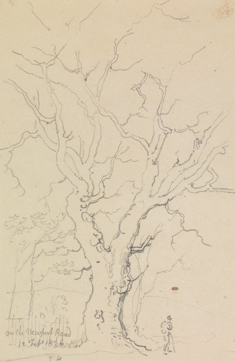 Sulla strada di Newport, 12 febbraio 1826 da Capt. Thomas Hastings