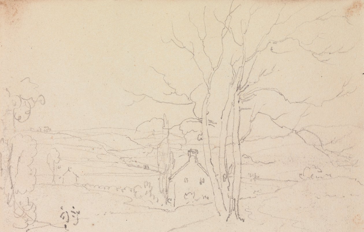 Schizzo di un grande albero e un cottage da Capt. Thomas Hastings