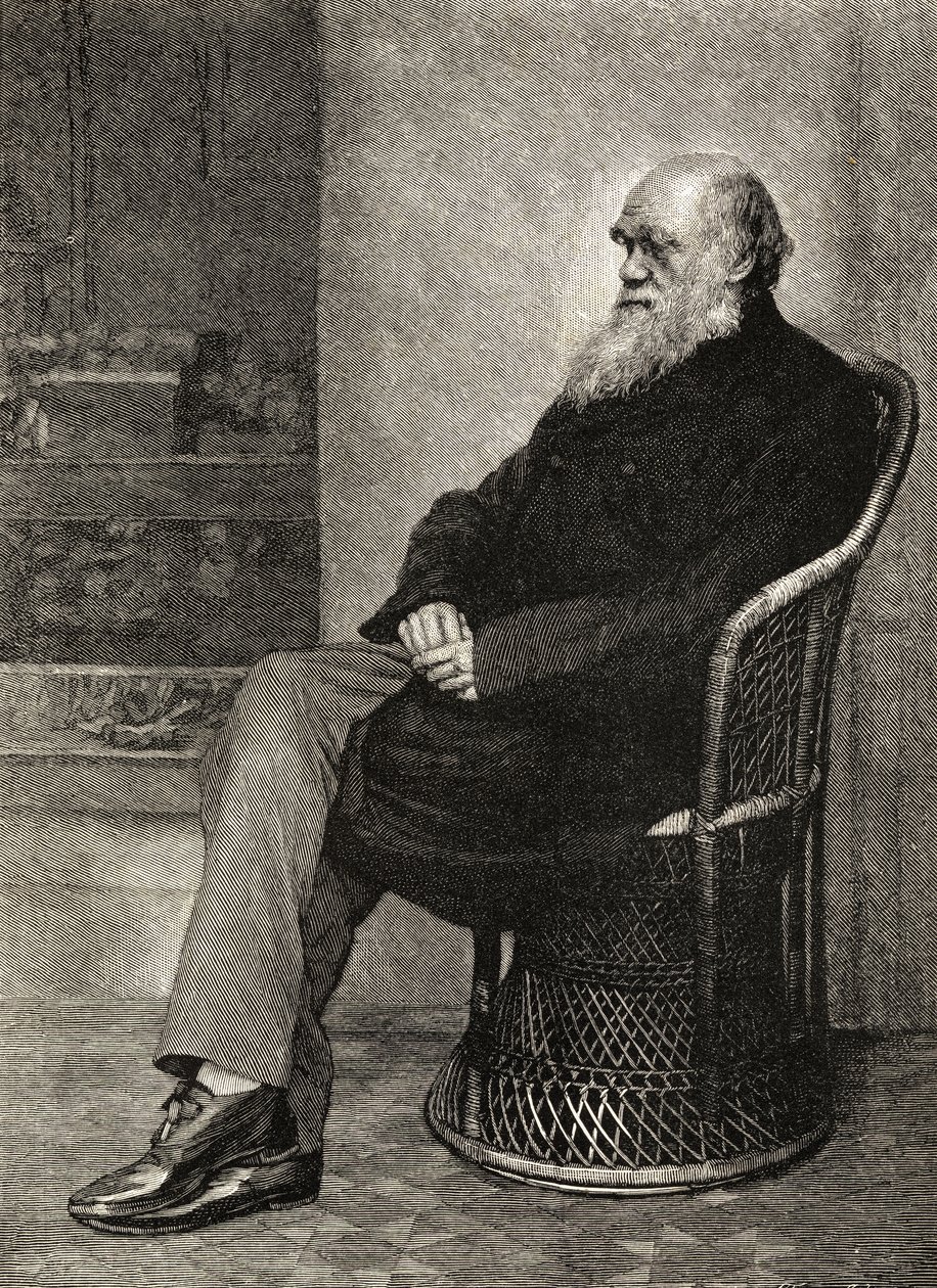 Charles Darwin, illustrazione da 