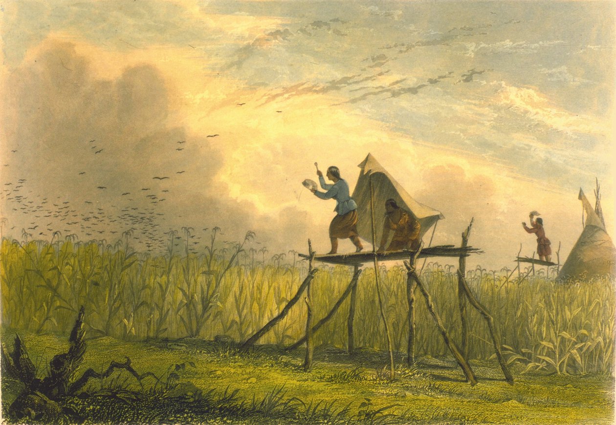 Guardando i campi di grano, 1853 da Captain Seth Eastman