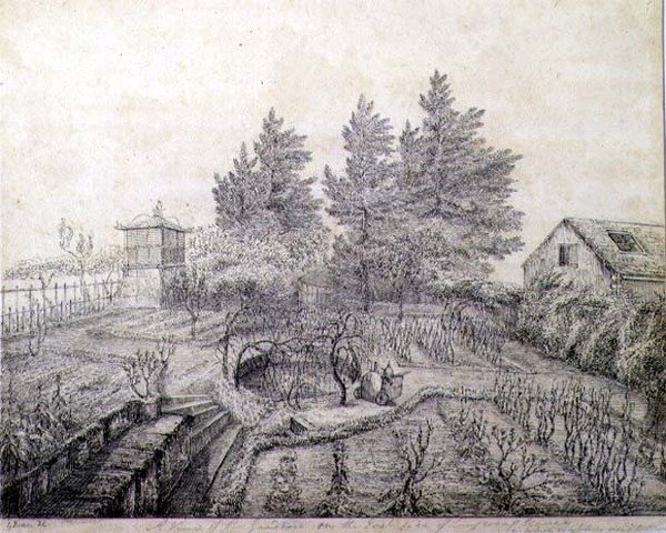 Veduta dei giardini di Napoleone I sul lato est di Longwood House da Captain G. Rotton
