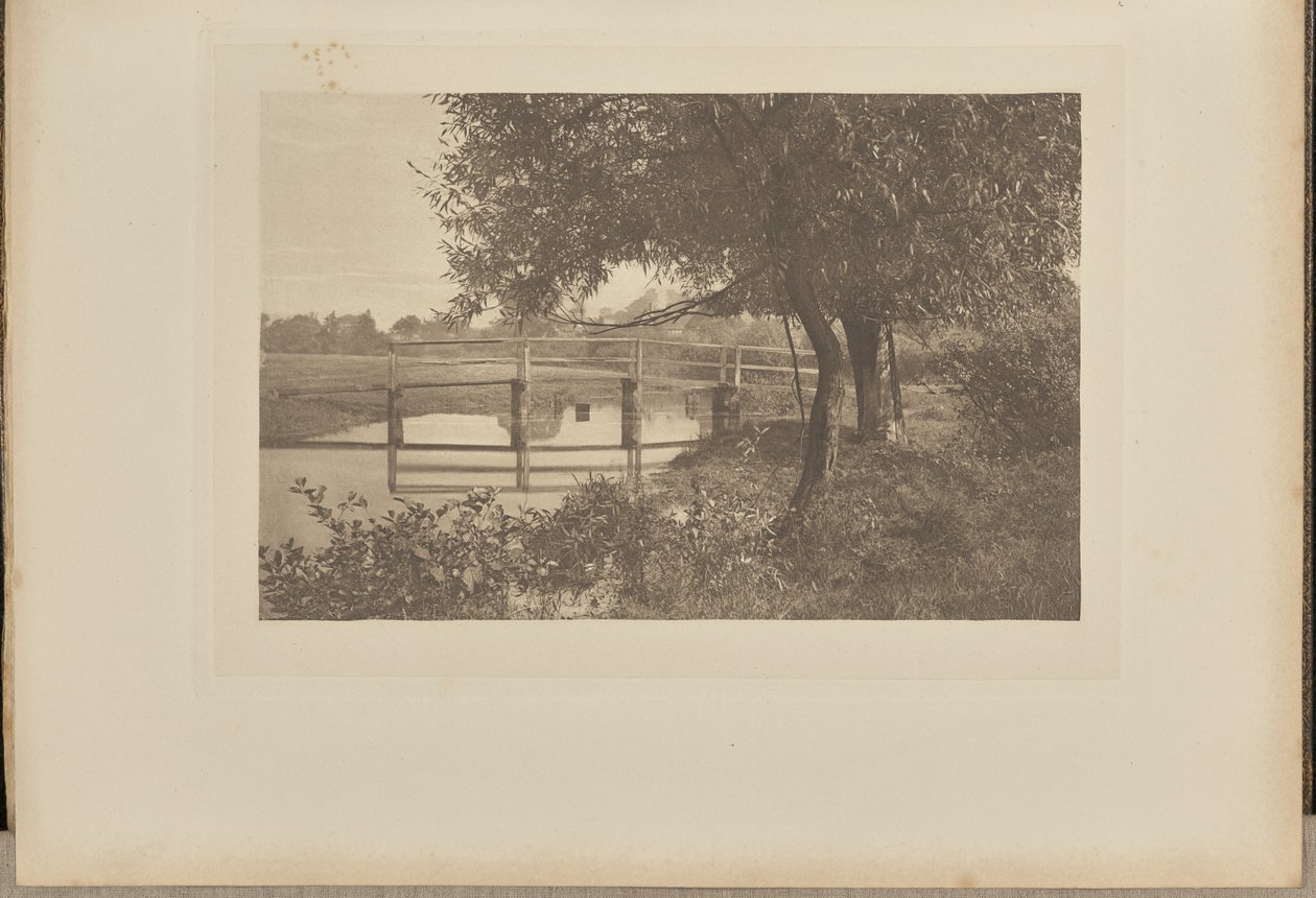 Sulla "Scrofa", vicino alla casa di Walton a Shallowford da Captain George Bankart