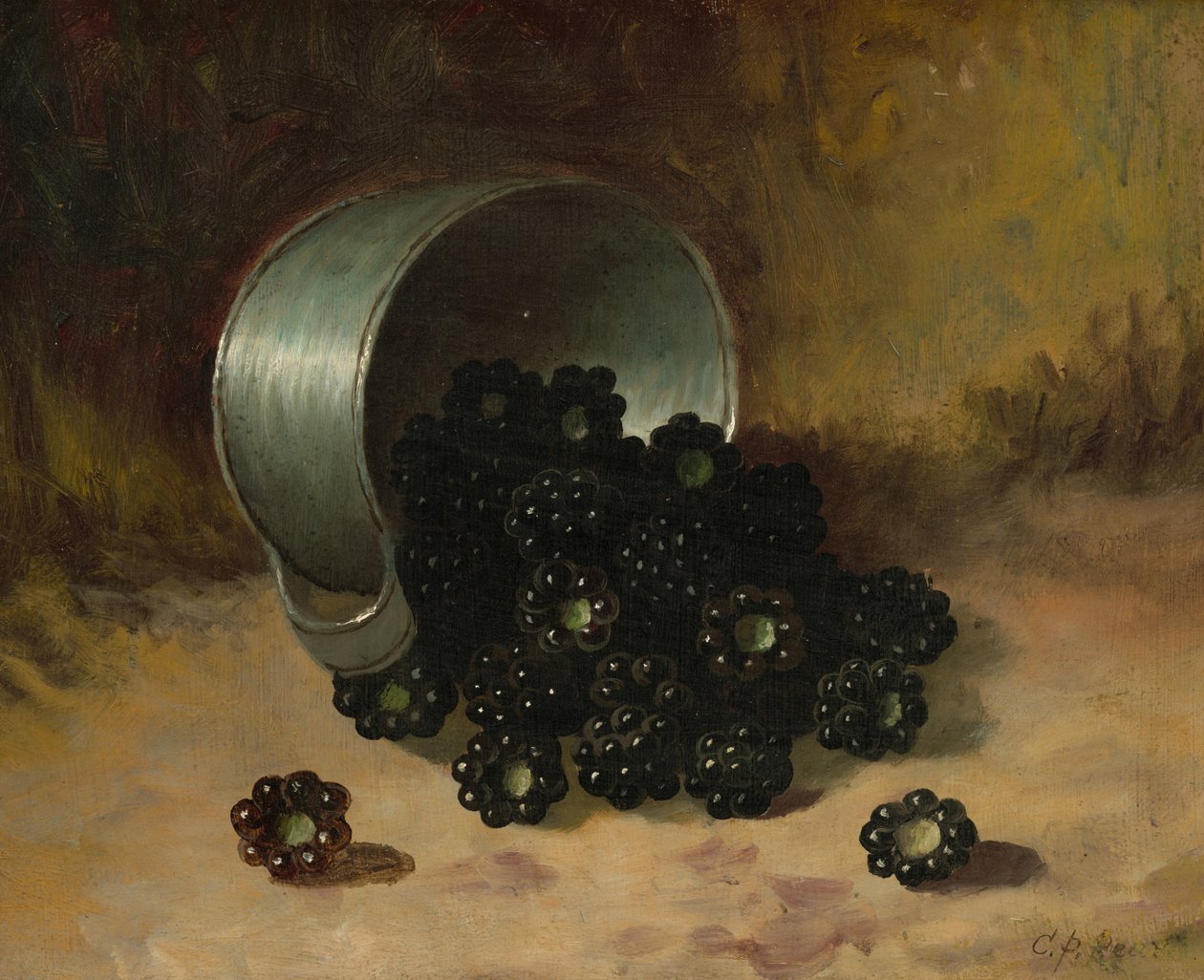 More che si spargono da una tazza di latta, n.d. (olio su tavola) da Carducius Plantagenet Ream