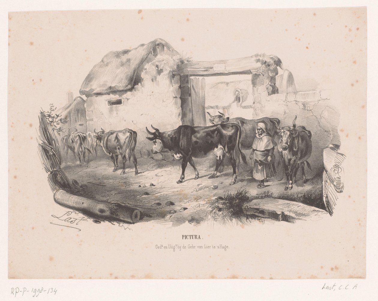 Gregge di mucche con pastorella da Carel Christiaan Antony Last