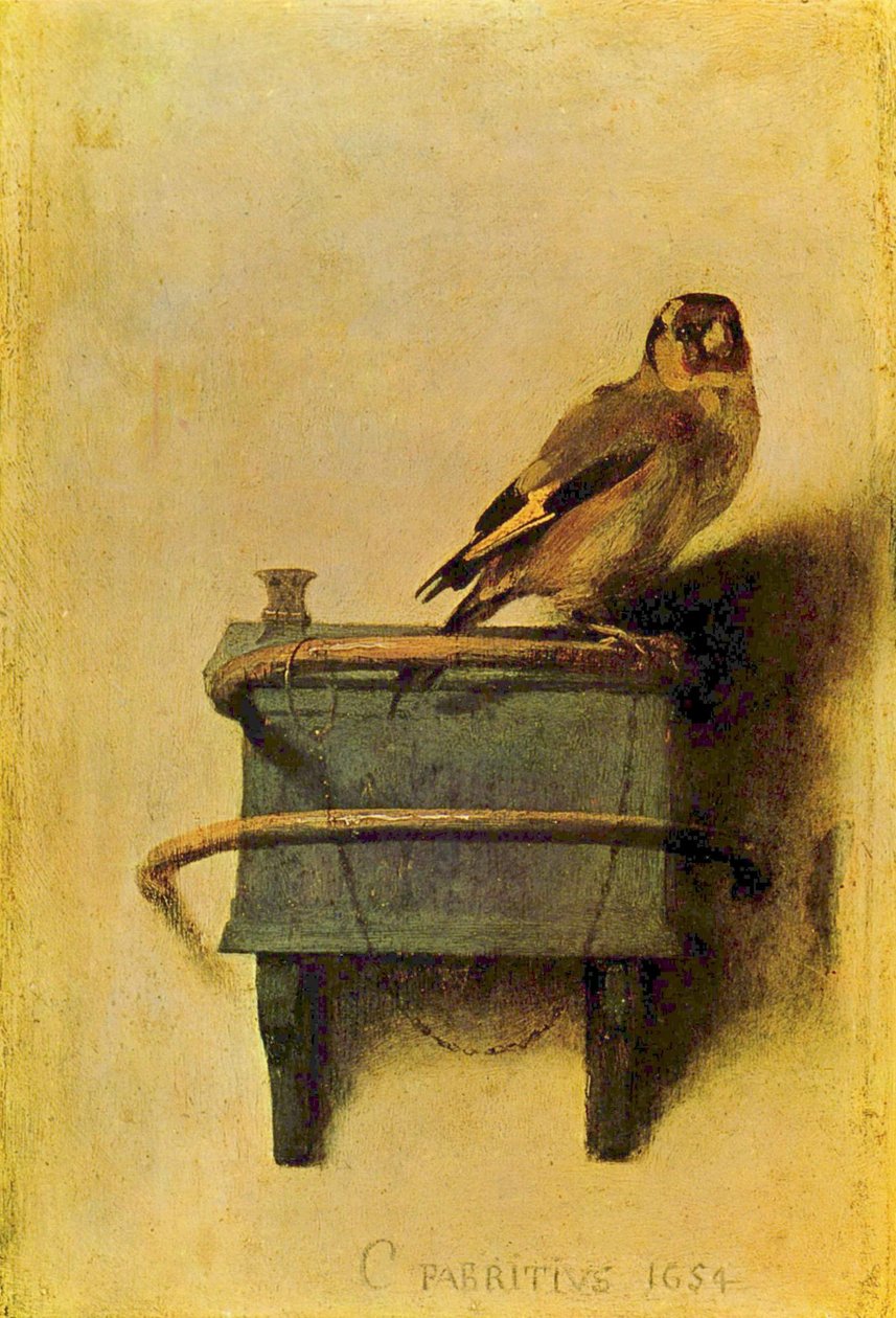 Arabo:  Il cardellino. da Carel Fabritius