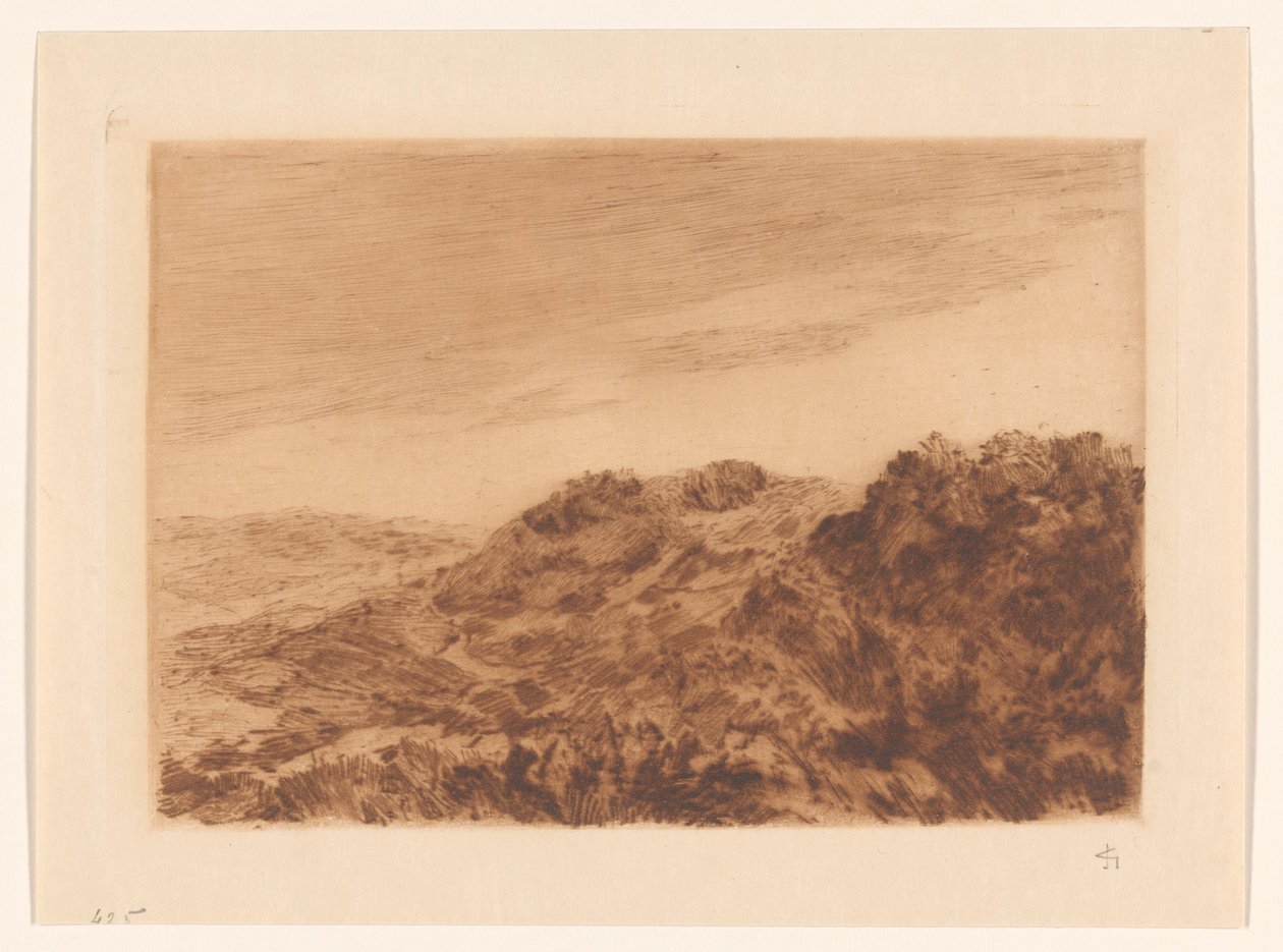 Paesaggio dunale vicino a L