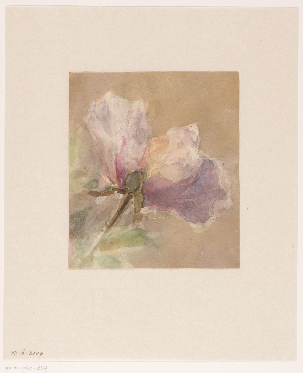 Rosa appassita da Carel Nicolaas Storm van 