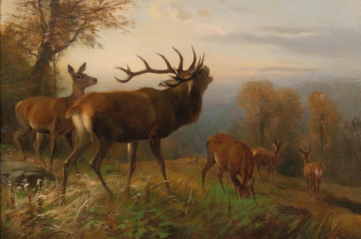 Mandria di cervi rossi da Carl Friedrich Deiker