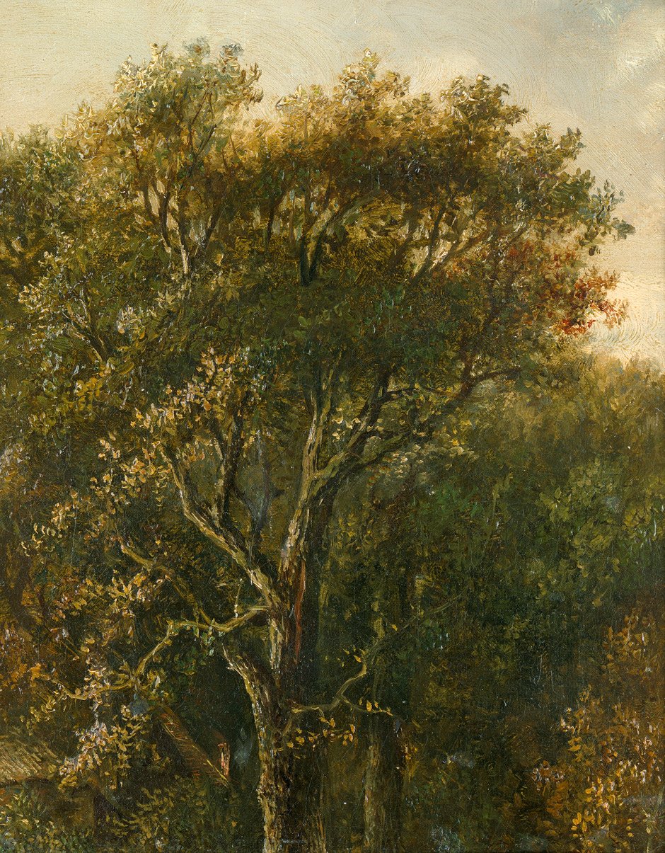 Bosco con quercia da Carl Gustav Carus